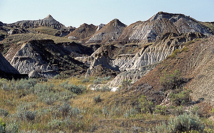 Dinosaur Provincial Park