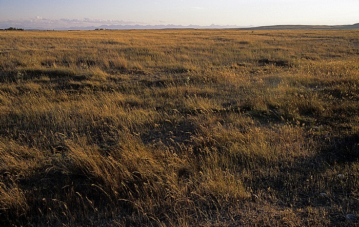 Buffalo Plains RV Campground Fort Macleod