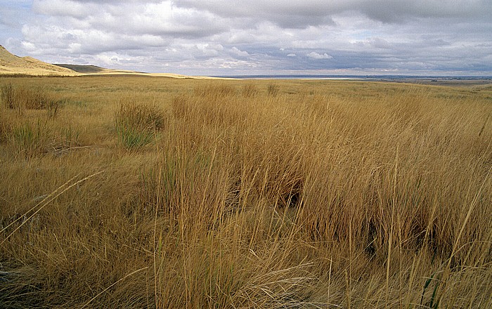 Fort Macleod Head-Smashed-In Buffalo Jump