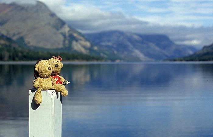 Glacier National Park (USA) Goat Haunt: Teddy und Teddine Upper Waterton Lake