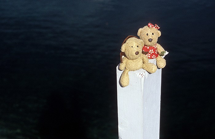 Glacier National Park (USA) Goat Haunt: Teddy und Teddine Upper Waterton Lake