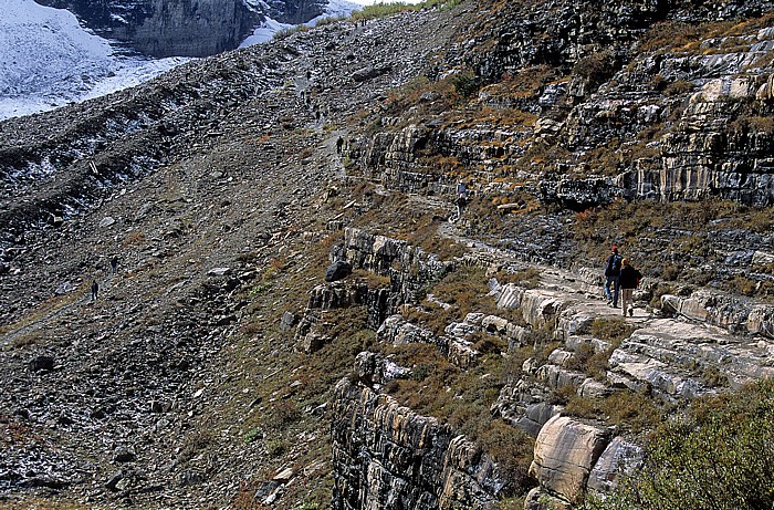 Banff National Park Plain of the Six Glaciers Trail