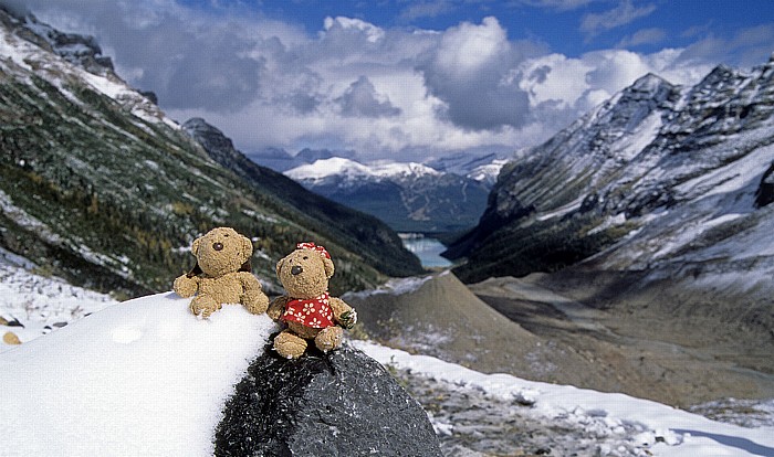 Banff National Park Plain of the Six Glaciers: Teddy und Teddine Lake Louise Lake Louise Mountain Resort