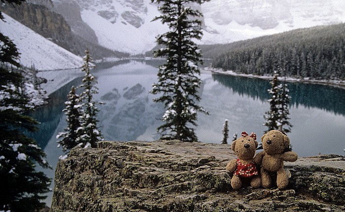 Banff National Park Moraine Lake: Teddine und Teddy