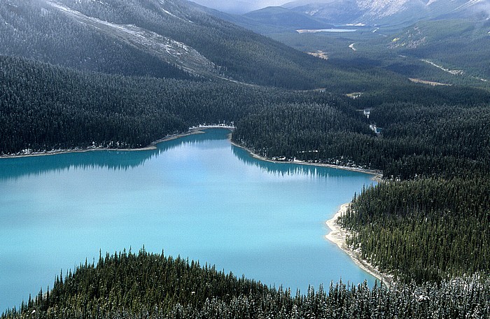 Blick vom Bow Summit: Peyto Lake Banff National Park