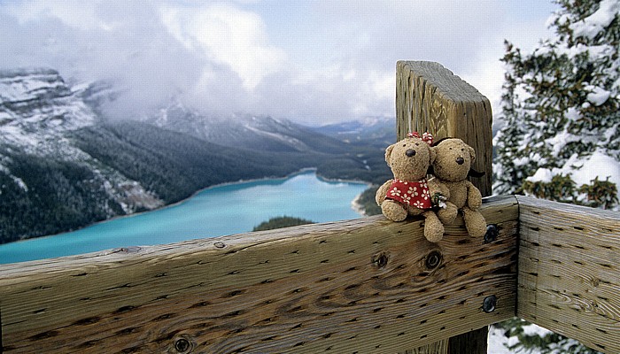 Banff National Park Bow Summit: Teddine und Teddy Peyto Lake