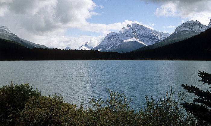 Banff National Park Icefields Parkway: Waterfowl Lake