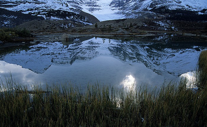 Jasper National Park Columbia Icefield: Snow Dome, Dome Glacier, Mount Kitchener