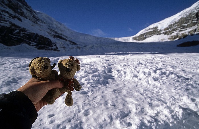 Jasper National Park Columbia Icefield: Athabasca Glacier: Teddy und Teddine Icefall