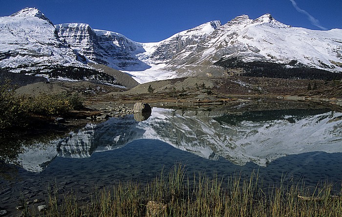 Columbia Icefield: Snow Dome, Dome Glacier, Mount Kitchener Jasper National Park