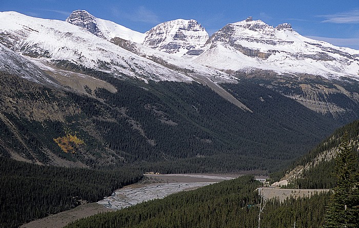 Jasper National Park Icefields Parkway: Tal des Sunwapta Canyon