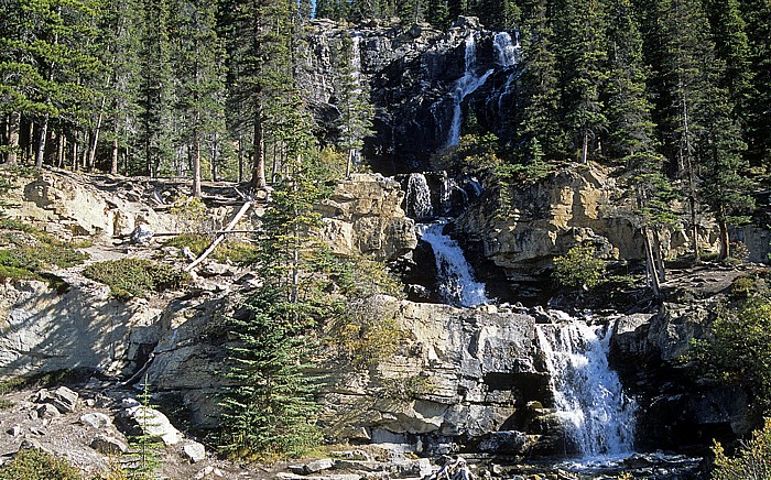 Jasper National Park Icefields Parkway: Tangle Falls