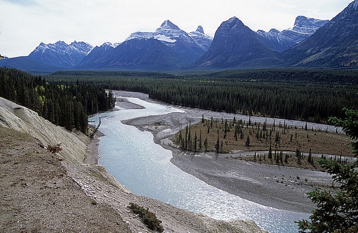 Icefields Parkway: Athabasca River Jasper National Park