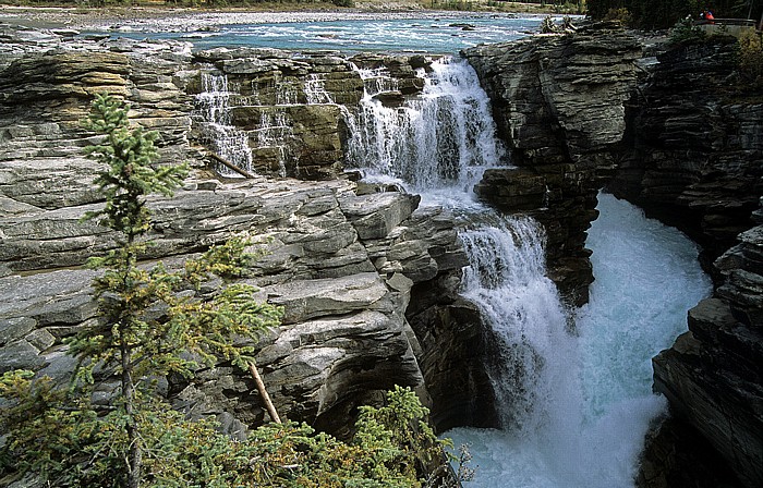 Athabasca Falls Jasper National Park