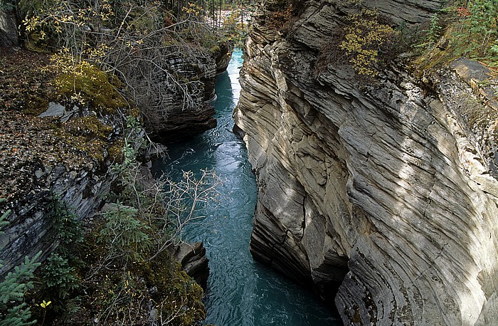 Jasper National Park Athabasca Falls