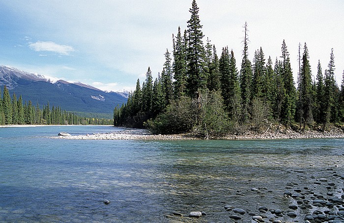 Jasper National Park Athabasca River