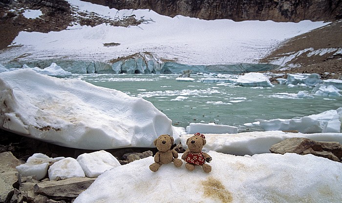 Jasper National Park Mount Edith Cavell, Cavell Glacier: Teddy und Teddine