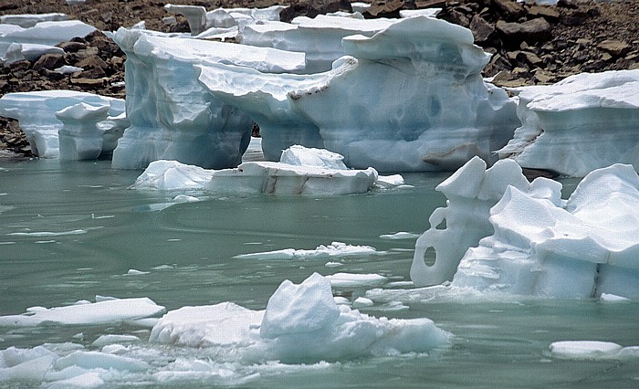 Mount Edith Cavell: Cavell Glacier Jasper National Park