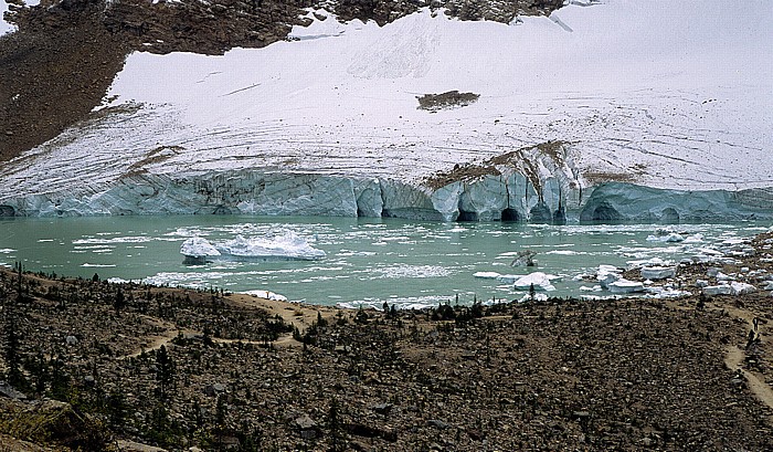 Jasper National Park Mount Edith Cavell: Cavell Glacier