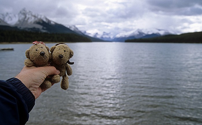 Jasper National Park Maligne Lake: Teddine und Teddy