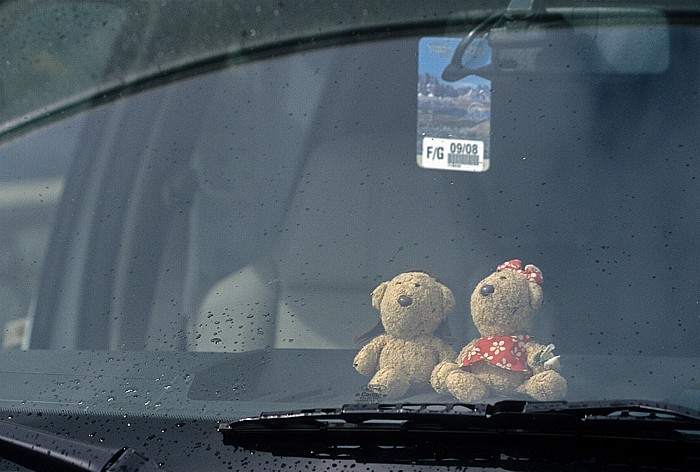 Jasper National Park Icefields Parkway: Ford F-350 Super Duty mit Teddy und Teddine