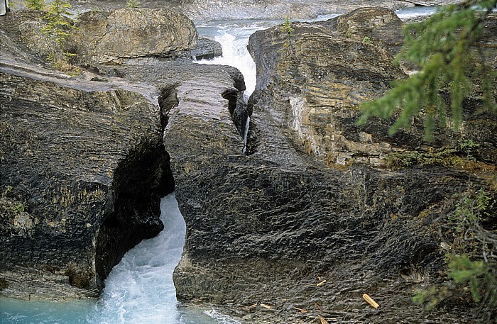 Yoho National Park Kicking Horse River: Natural Bridge