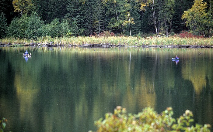 Pillar Lake Angler