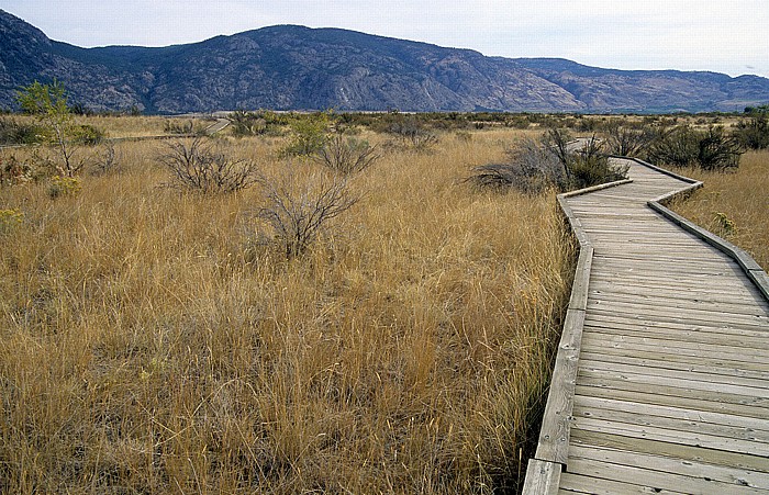 Desert Centre Osoyoos Desert Center