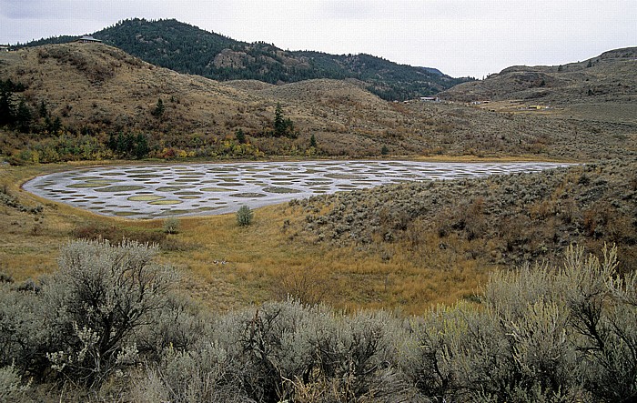 Spotted Lake