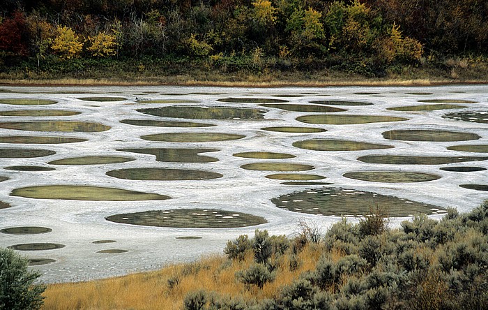 Spotted Lake