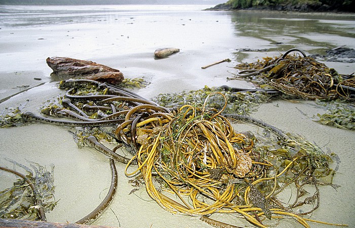 Pacific Rim National Park Schooner Cove