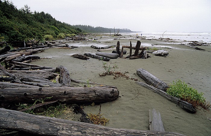 Pacific Rim National Park Schooner Cove