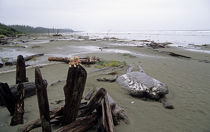 Pacific Rim National Park Schooner Cove: Teddy und Teddine