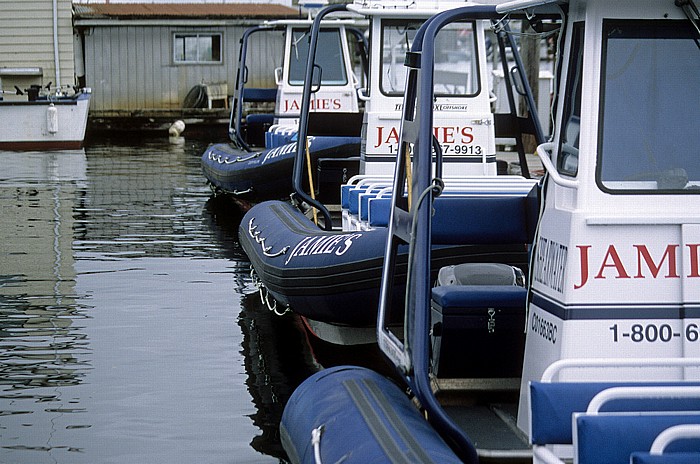 Tofino Hafen