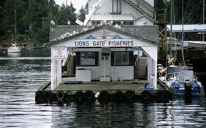 Hafen Tofino