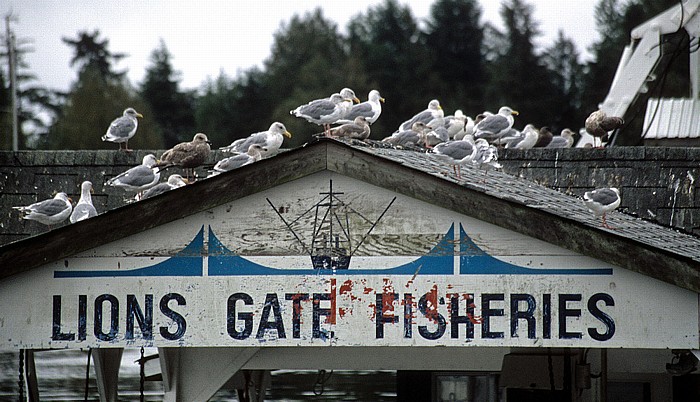 Hafen Tofino