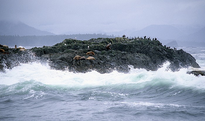 Clayoquot Sound Pacific Rim National Park