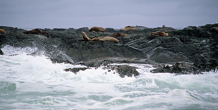 Pacific Rim National Park Clayoquot Sound