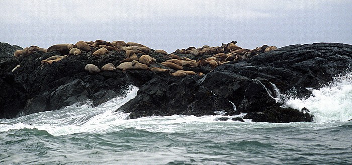 Clayoquot Sound Pacific Rim National Park