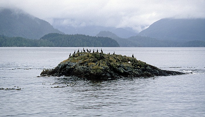 Pacific Rim National Park Clayoquot Sound