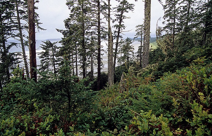 Pacific Rim National Park