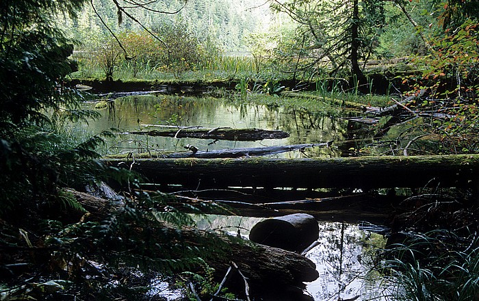 MacMillan Provincial Park