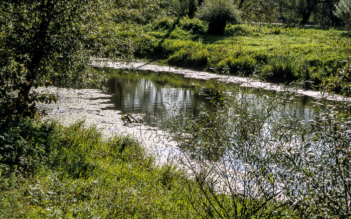 Nebenarm der Donau Kelheim