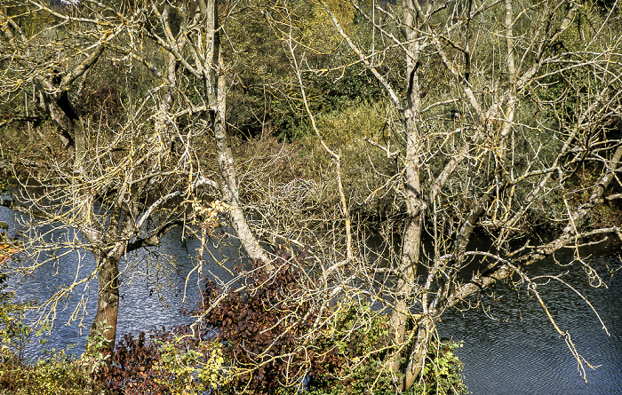 Kelheim Nebenarm von Donau und Altmühl