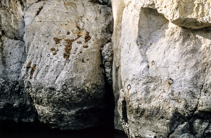 Donaudurchbruch Naturschutzgebiet Weltenburger Enge