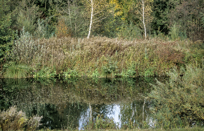 Nebenarm von Donau und Altmühl Kelheim