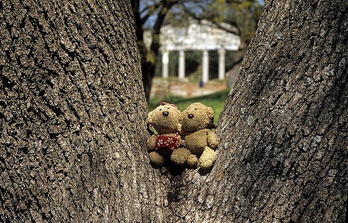 Apollonia Teddine und Teddy