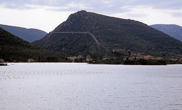 Dalmatien Adriatisches Meer (Mittelmeer): Bucht von Mali Ston (Malostonski zaljev, Kanal Malog Stona), Halbinsel Peljesac