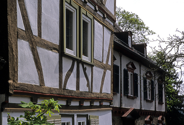 Altstadt: Fachwerkhaus Braunfels