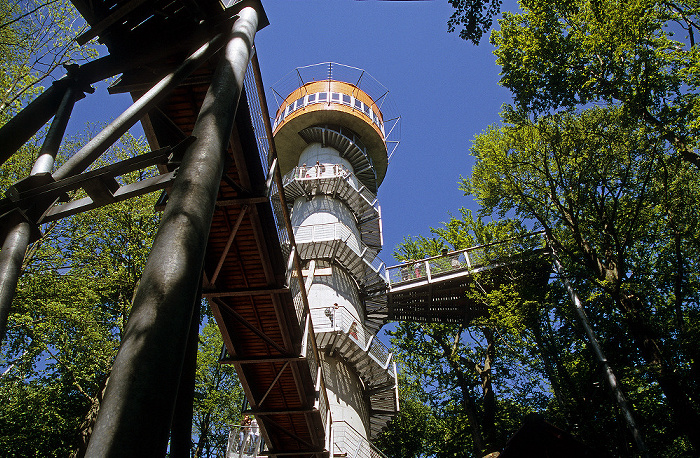 Nationalpark Hainich: Baumkronenpfad und Baumturm